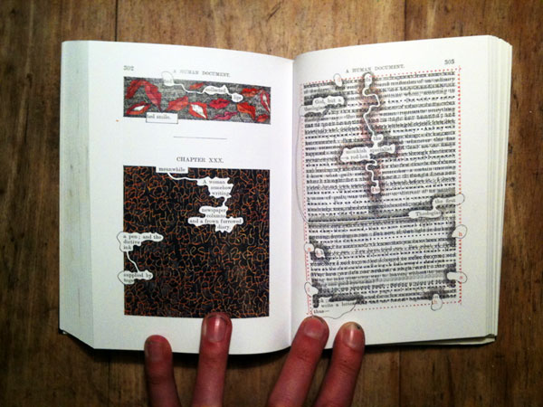 Slide 7: The Humument